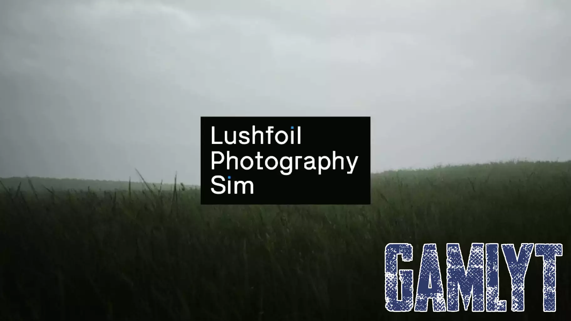 A Virtual Escape: How Lushfoil Enhances Mental Well-Being