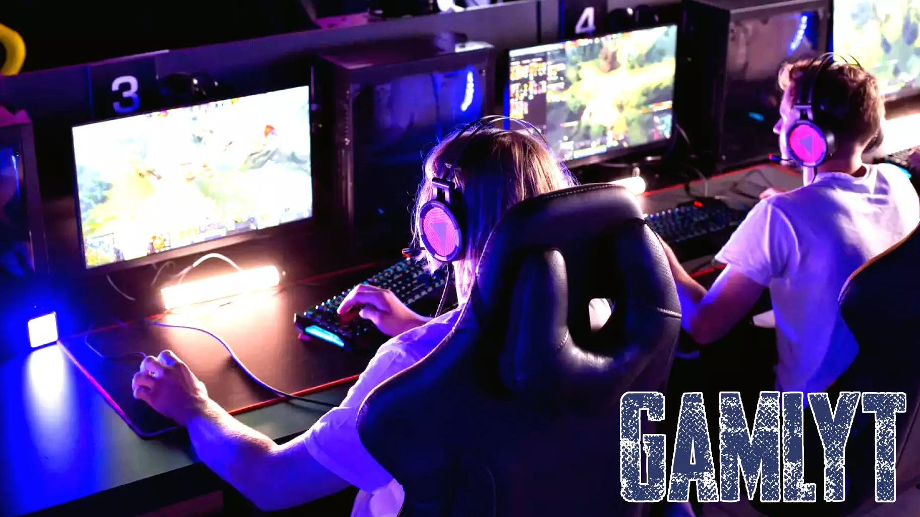 Unveiling the Profitability of the Video Game Sector