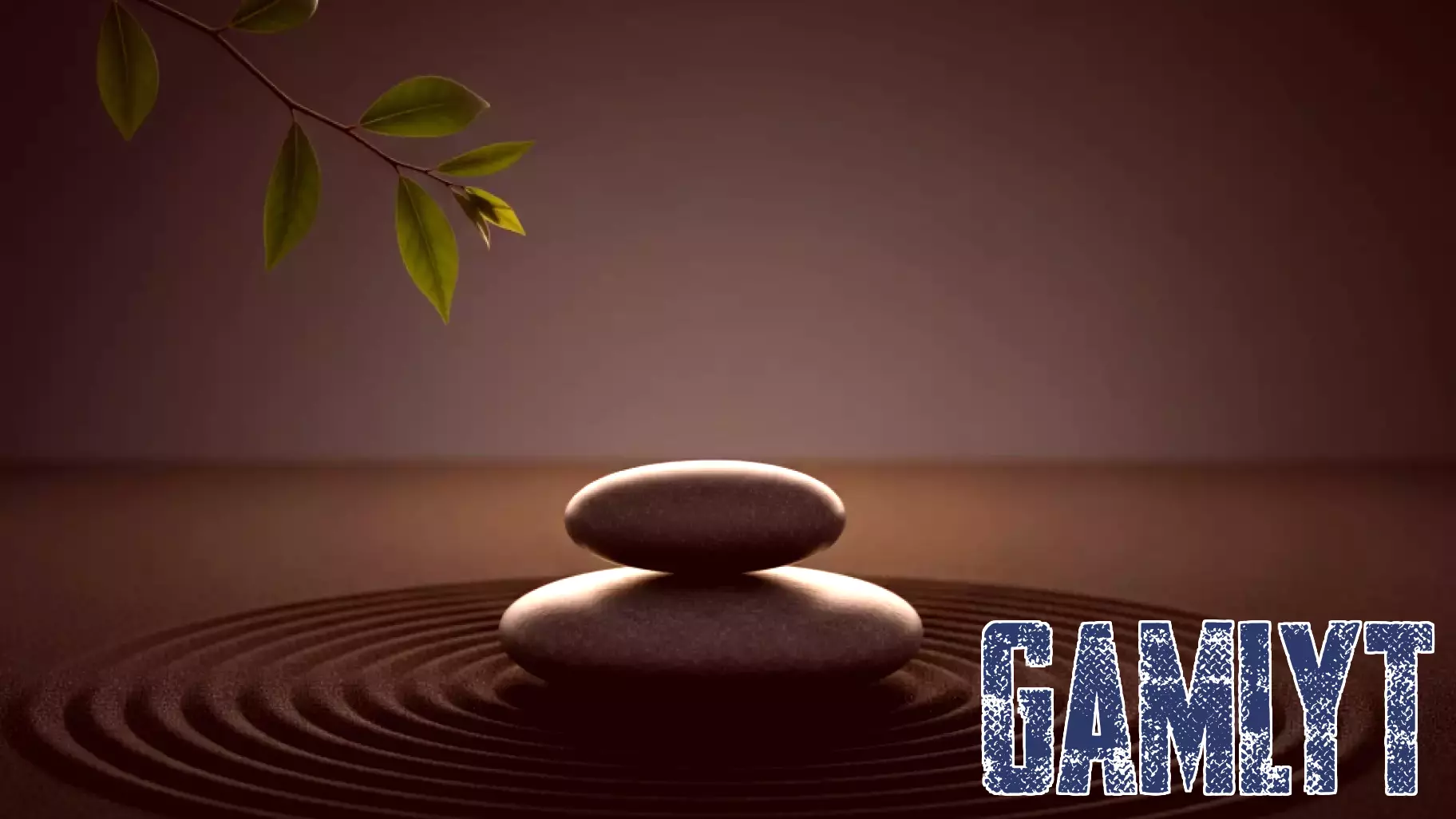 Video Games Offer Doctors a Crucial Escape from Burnout